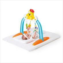 Baby Gym Pet Sortido